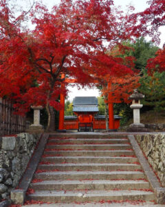 嵯峨嵐山 天龍寺、紅葉、日本庭園、11月秋、京都府京都市の観光・撮影スポットの名所